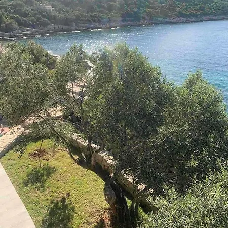 Beach Ivana Apartment Mali Drvenik